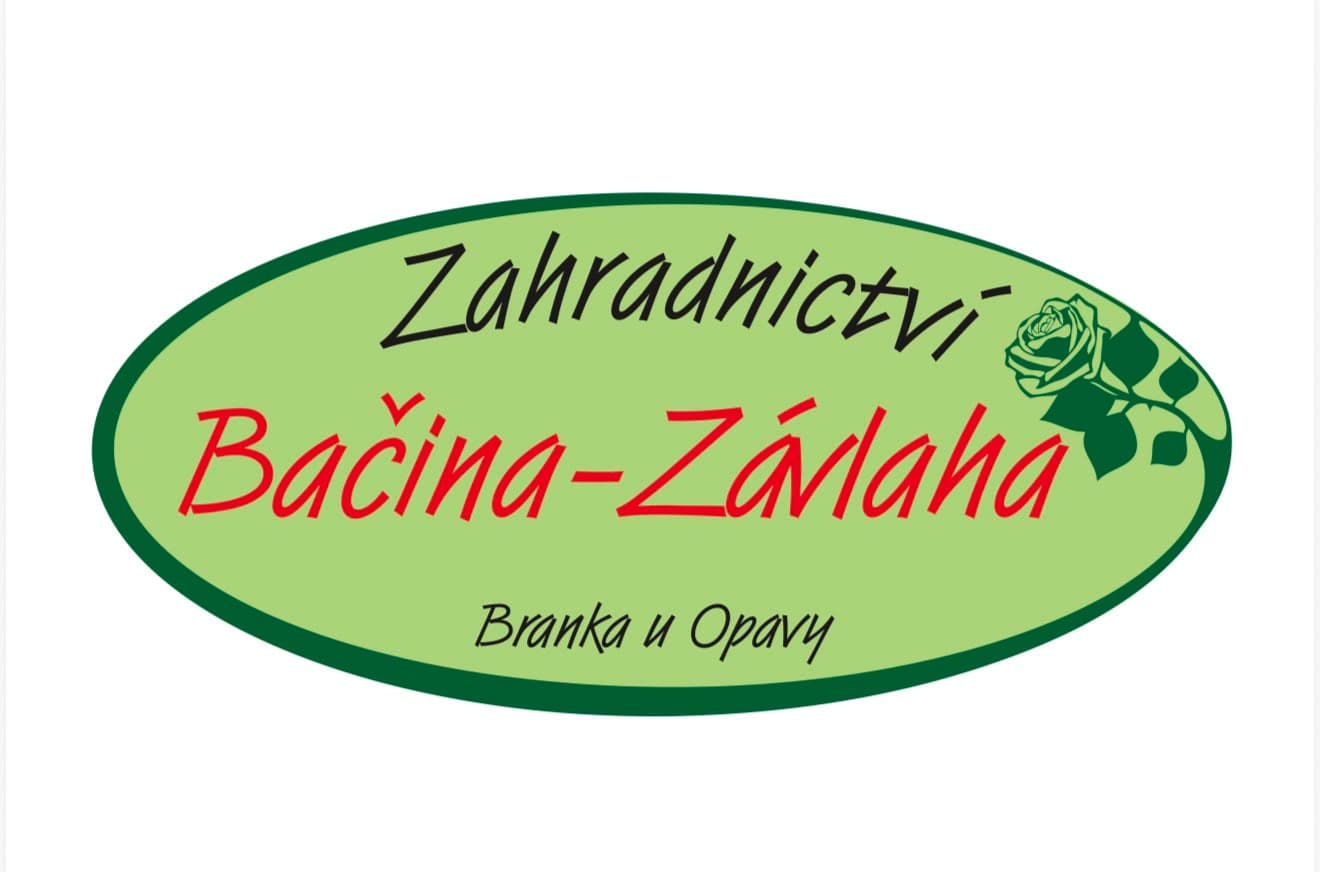 Logo firmy