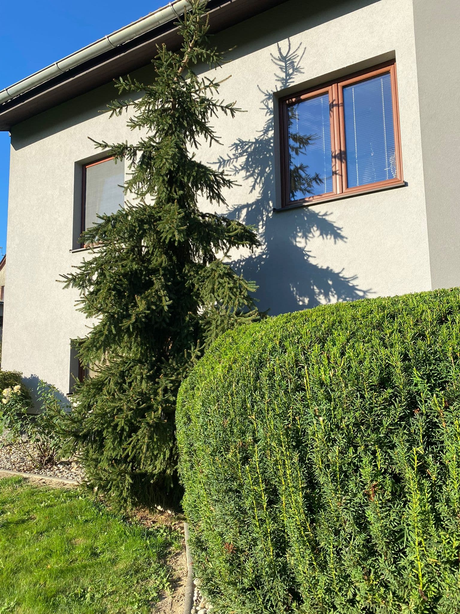 Pozadí sekce Bílov - Zahrady Ondra Červenec
