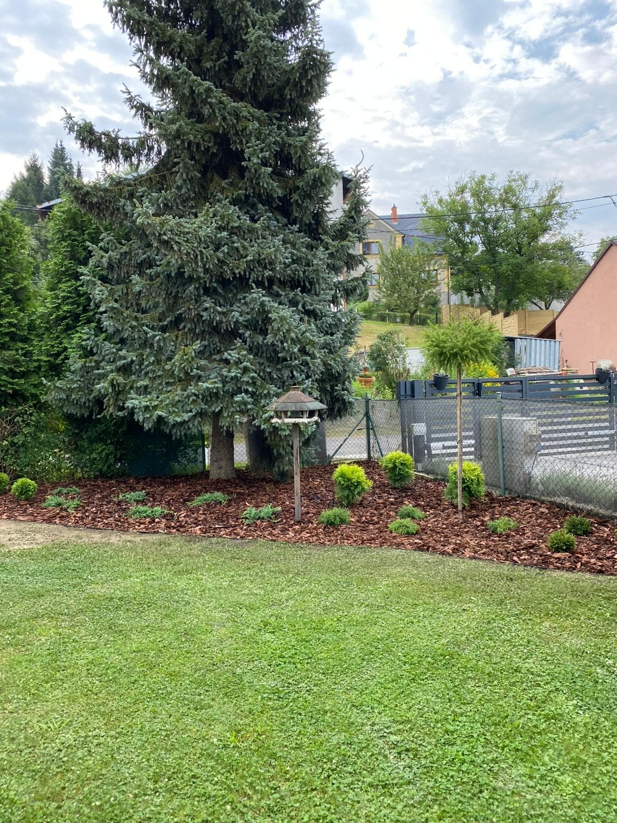 Pozadí sekce Markvartovice - Zahrady Ondra Červenec