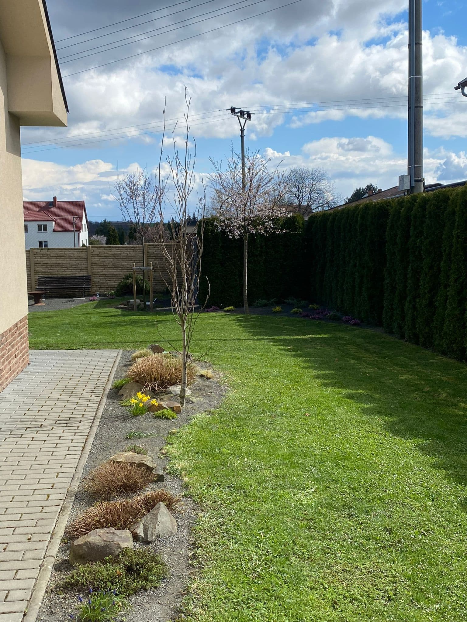 Obrázek 7.jpeg